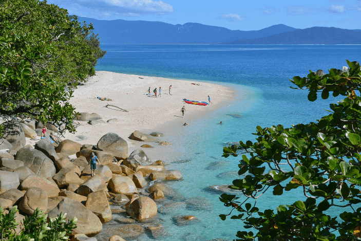 Fitzroy Island Locals